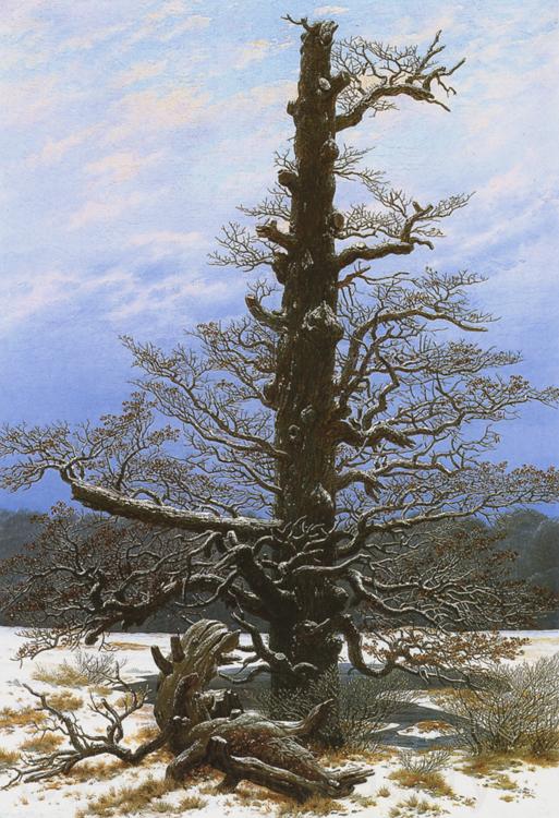 Caspar David Friedrich Oak Tree in the Snow (mk10) Spain oil painting art